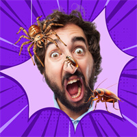 Buggz: Insect Prank Filters